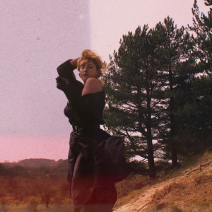 ดาวน์โหลดและฟังเพลง Lone Star พร้อมเนื้อเพลงจาก Dési Ducrot