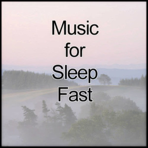 ดาวน์โหลดและฟังเพลง Music for Sleep Fast "Cranberry" พร้อมเนื้อเพลงจาก Sleep Music Laboratory