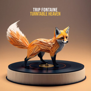 Album Turntable Heaven from Trip Fontaine