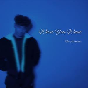 收聽Ben Rodriguez的What You Want歌詞歌曲