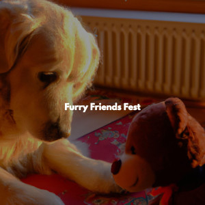 Furry Friends Fest