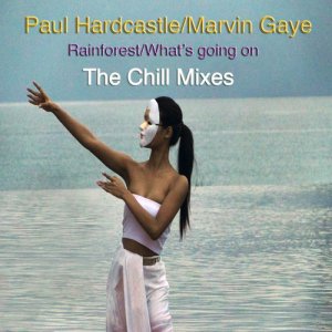 收聽Marvin Gaye的Rainforest/What's Going On (Beach Chill Mix 1) (其他|Beach Chill Mix 1)歌詞歌曲