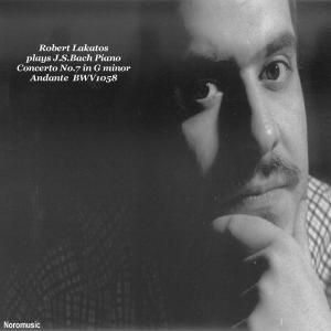 Listen to Piano Concerto No.7 in G Minor, BWV 1058: Andante song with lyrics from Róbert Lakatos