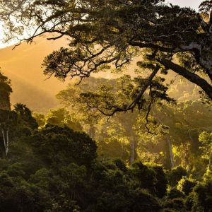 收聽Sleep Sounds of Nature的Relax歌詞歌曲