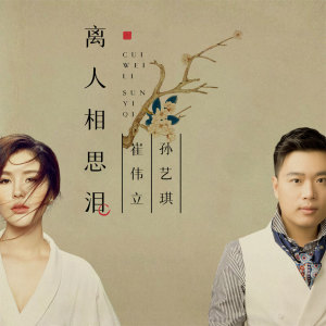 收听崔伟立的离人相思泪 (伴奏)歌词歌曲