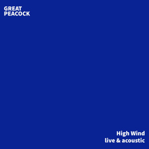 ดาวน์โหลดและฟังเพลง High Wind (Live and Acoustic) พร้อมเนื้อเพลงจาก Great Peacock