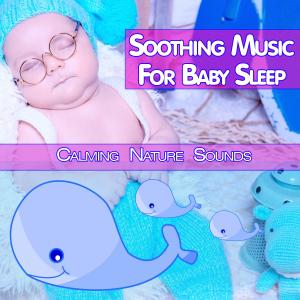 Album Soothing Music For Baby Sleep: Calming Nature Sounds (Nature Sounds Version) from DEA Baby Lullaby Sleep Music Academy