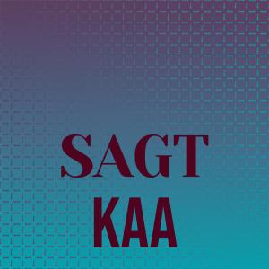 收听Aldy Buca的Sagt Kaa歌词歌曲