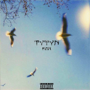 Album Или (Explicit) from Tytyn