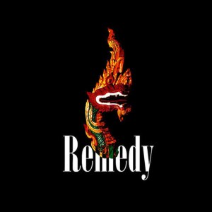 ดาวน์โหลดและฟังเพลง No Shelter พร้อมเนื้อเพลงจาก Remedy