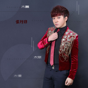 Listen to 太蠢太笨太傻 (伴奏) song with lyrics from 张丹锋