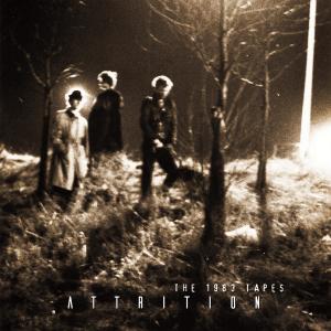 ดาวน์โหลดและฟังเพลง Day I Was Born พร้อมเนื้อเพลงจาก Attrition