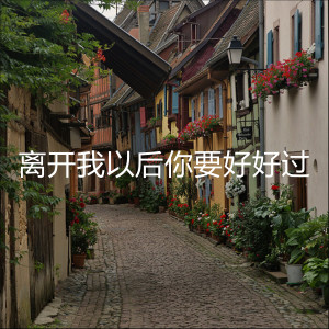 收听圈谨而后的离开我以后你要好好过 (伴奏)歌词歌曲