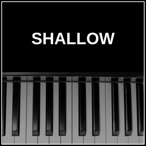 ดาวน์โหลดและฟังเพลง Shallow พร้อมเนื้อเพลงจาก NPT Music