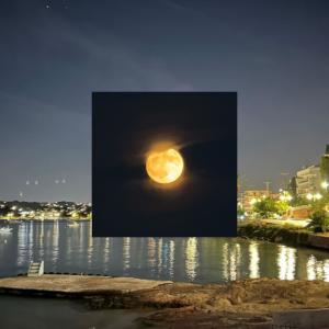 收聽Nayte的F.Y.S (feat. M.P) (Explicit)歌詞歌曲