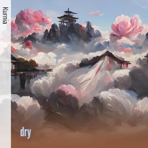 Album Dry from Kurnia