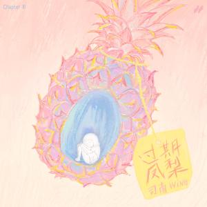 收聽司南的過期鳳梨 (伴奏)歌詞歌曲