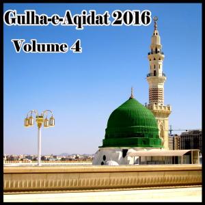 收聽Hafiz Kamran Qadri的Voice of Palestine歌詞歌曲