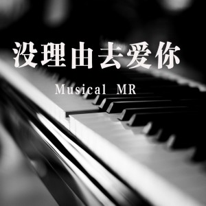 收听Musical MR的没理由去爱你 (伴奏)歌词歌曲