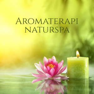 Lugn Spa Universum的专辑Aromaterapi naturspa (Avslappnande musik för spa, Yogamusik, Massagemusik, Meditation)