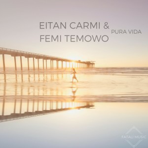 Listen to Pura Vida song with lyrics from Femi Temowo