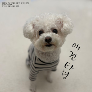 Listen to 애견타령 song with lyrics from 전병훈