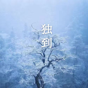 Album 独到 (中文版) from 小风啊