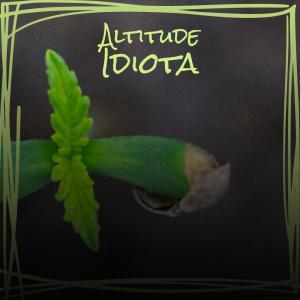 อัลบัม Altitude Idiota ศิลปิน Various Artists