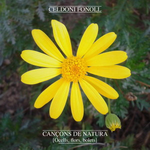ดาวน์โหลดและฟังเพลง Cap D'ase. Flors พร้อมเนื้อเพลงจาก Celdoni Fonoll