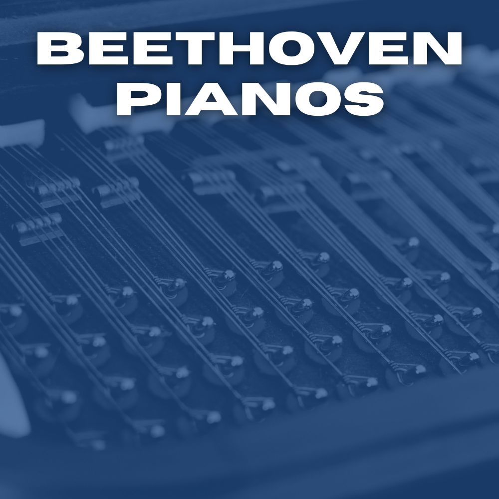 Piano Concerto, In A Minor , Op. 54 : I. Allegro affetuoso