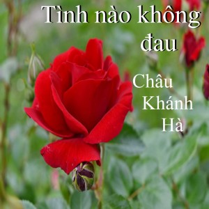 Listen to Về với tịnh 1 song with lyrics from Châu Khánh Hà