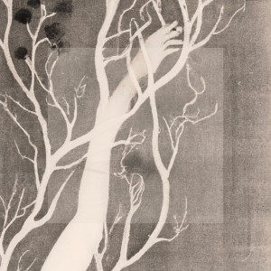 Listen to In Our Blood song with lyrics from Will Hearn