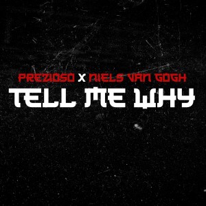 Dengarkan Tell Me Why (Extended Mix) lagu dari Prezioso dengan lirik