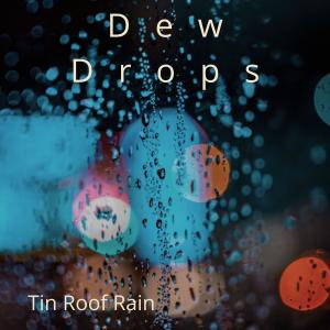 ดาวน์โหลดและฟังเพลง Tin Roof Rain พร้อมเนื้อเพลงจาก Dew Drops
