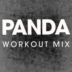 收聽Power Music Workout的Panda (Extended Workout Mix)歌詞歌曲