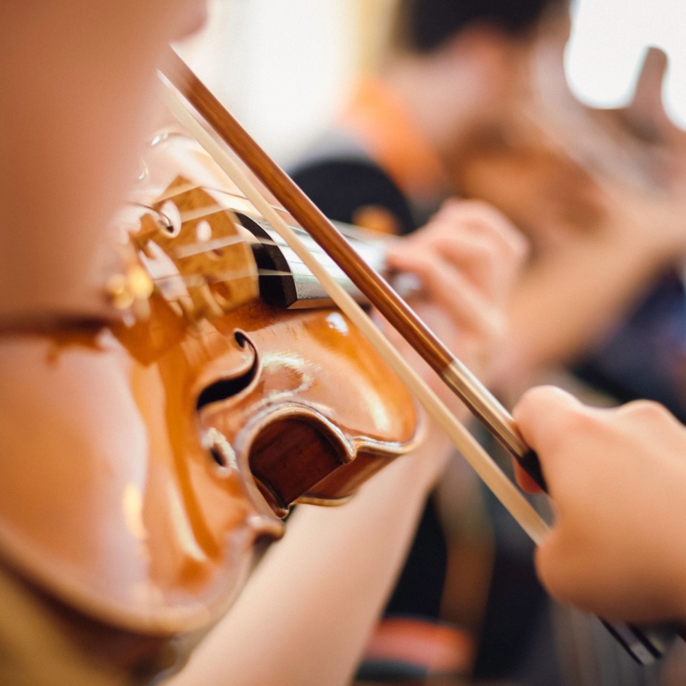 Peaceful Symphony Eases Night