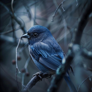 Deszcz的專輯Peaceful Bird Chirps: Binaural Ambient Music