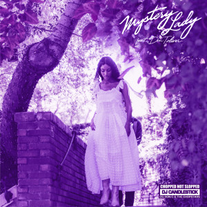 ดาวน์โหลดและฟังเพลง Mystery Lady (ChopNotSlop Remix) พร้อมเนื้อเพลงจาก Masego