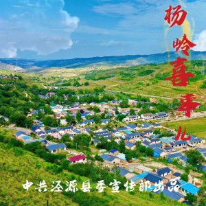 Listen to 杨岭喜事儿 (完整版) song with lyrics from 李娜