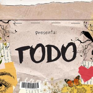 收聽Mireya的TODO Todos tus besos, tu risa suave歌詞歌曲