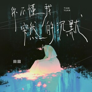 Listen to 你不懂我突然的沉默 (DJ默涵版伴奏) song with lyrics from 田园