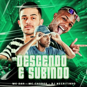 Listen to Descendo e Subindo (Explicit) song with lyrics from Mc Choros