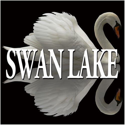 Swan Lake Op.20 : VI Spanish Dance