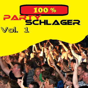 Listen to Wir Baden hier im Bier song with lyrics from Reiner Wahnsinn