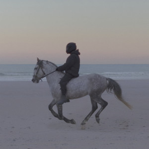 ดาวน์โหลดและฟังเพลง Lioness พร้อมเนื้อเพลงจาก Swedish House Mafia