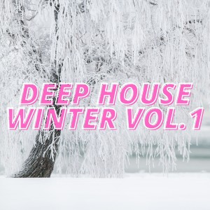 Album Deep House Winter Vol.1 from Various Artists