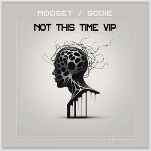 ดาวน์โหลดและฟังเพลง Not This Time VIP พร้อมเนื้อเพลงจาก m00seT