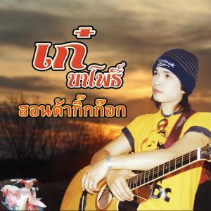 ดาวน์โหลดและฟังเพลง ฮอนด้ากิ๊กก๊อก พร้อมเนื้อเพลงจาก เก๋ นาโพธิ์