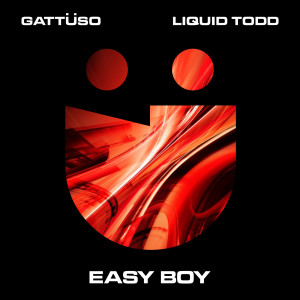 Album Easy Boy from Liquid Todd