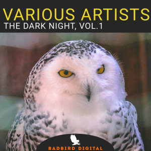 Various Artists的專輯The Dark Night, Vol. 1